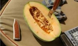 在线吃瓜作品免费观看,揭秘热门在线吃瓜作品！