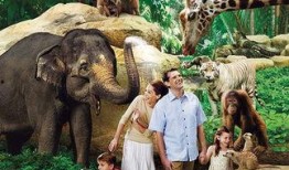 海南动物园爆料视频